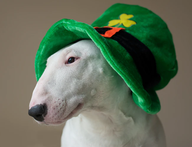 4 great gift ideas for someone who’s mad about Ireland