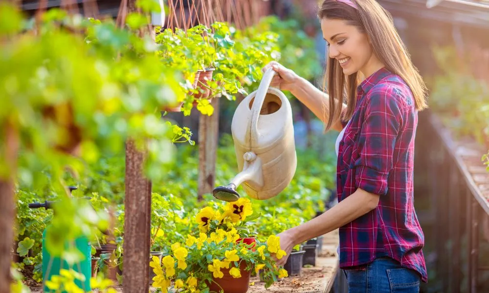 Flower Care Tips: How to Keep Your Bouquet Looking Fresh Longer